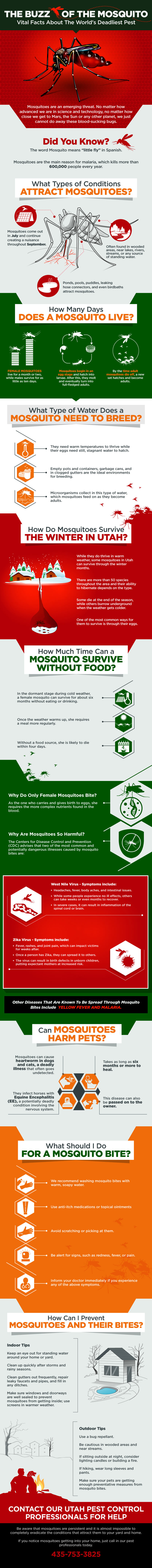 The Buzz of the Mosquito [INFOGRAPHIC]