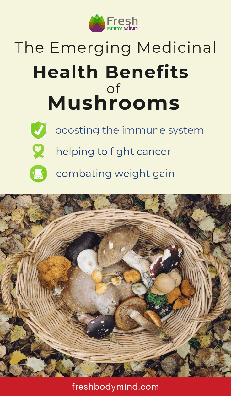 The Emerging Medicinal Health Benefits of Mushrooms [INFOGRAPHIC]