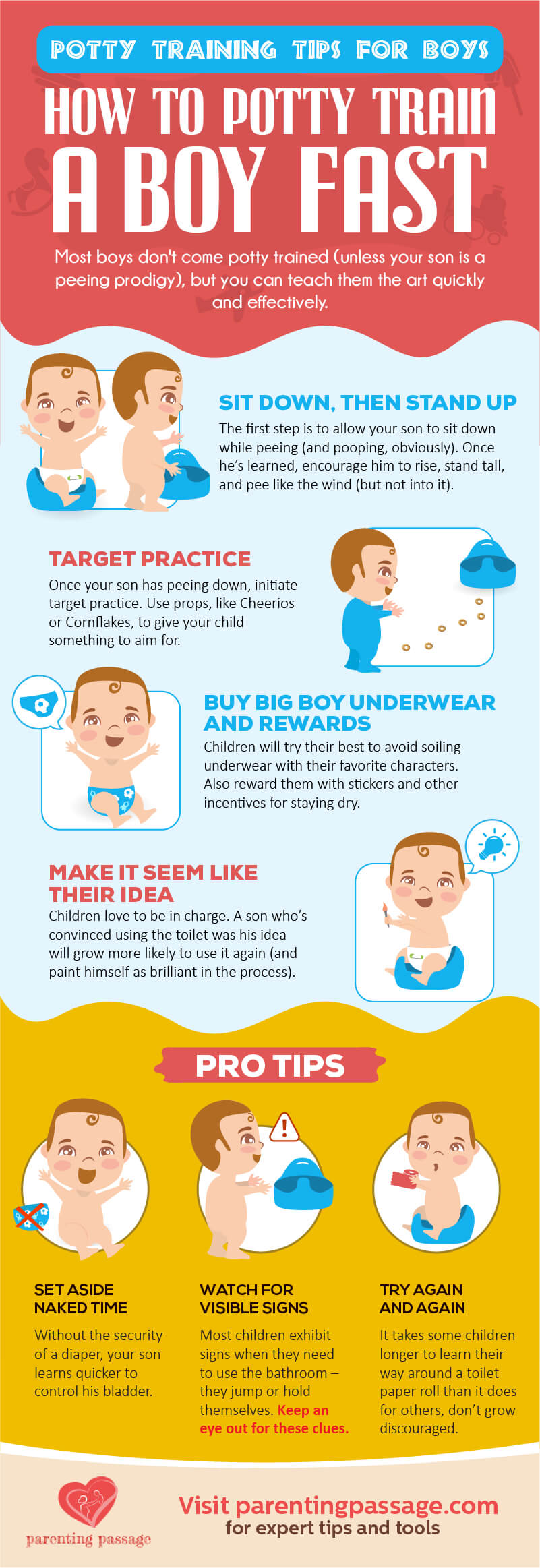 How To Potty Train A Boy Infographic