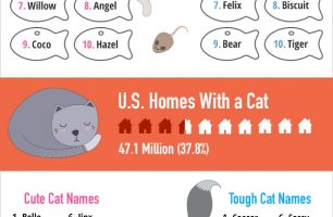 2018-top-cat-names-2