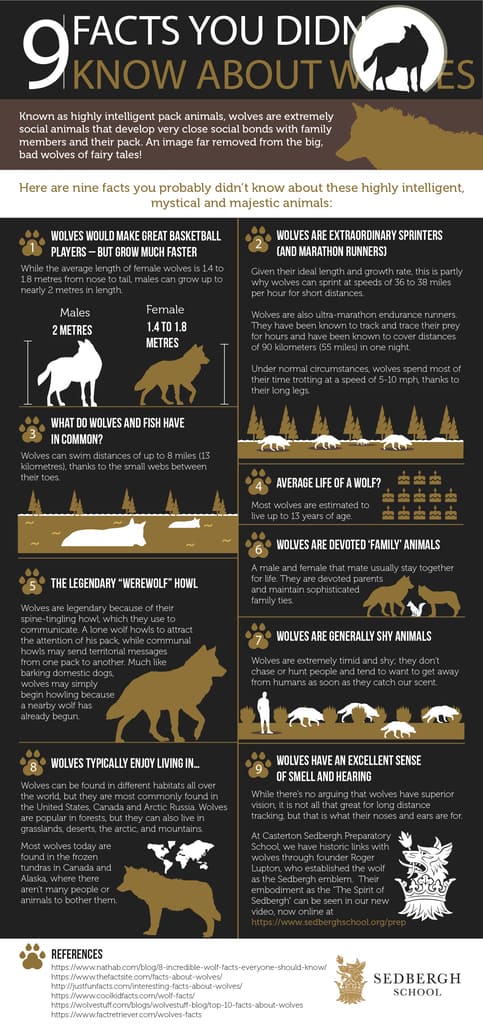 9 Facts You Didn’t Know About Wolves