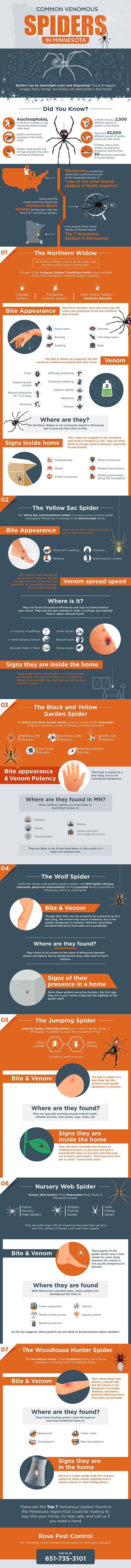 Common Venomous Spiders