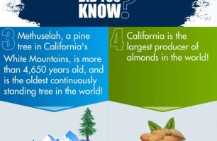 Eureka-The-Golden-State-Trivia-Infographic-galleryr