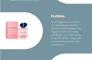 Perfume Direct – The Fragrance Family 101 [INFOGRAPHIC]