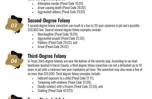 5 Types of Felony Crimes Requiring A Bail Bond [INFOGRAPHIC]
