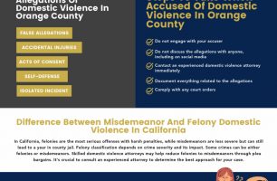 Orange County Domestic Violence Lawyer [INFOGRAPHIC]