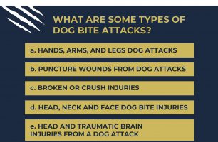 Utah Dog Bite Lawyer [INFOGRAPHIC]