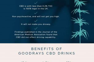 CBD & Driving [INFOGRAPHIC]