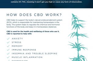 CBD Oil for Anxiety [INFOGRPAHIC]