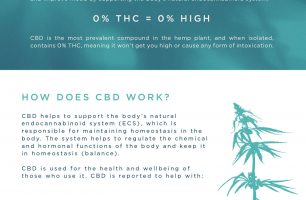 CBD Drinks for Anxiety [INFOGRAPHIC]