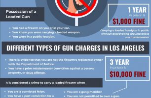 Los Angeles Gun Crime Lawyer [INFOGRAPHIC]