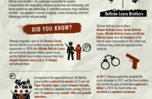 NewMexico_Infographic_400b