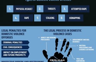 Los Angeles Domestic Violence Lawyer [INFOGRAPHIC]