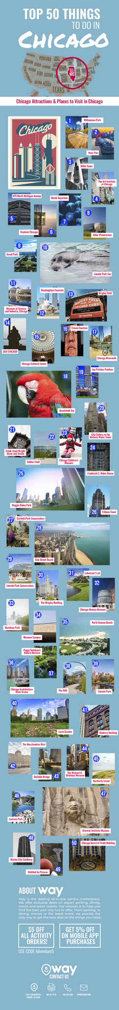 Top 50 Things to Do in Chicago