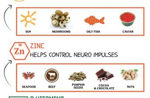 Vitamins-and-minerals-for-the-brain-Infographic