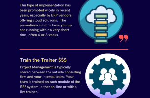 What Is An ERP Implementation? [INFOGRAPHIC]