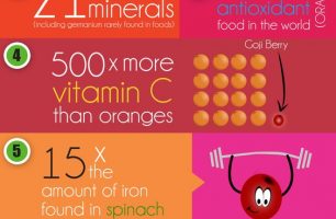 8 Reasons to Eat Goji Berries [INFOGRAPHIC]
