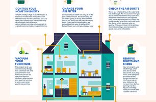8 Smart Ways to Maximize your Indoor Air Quality