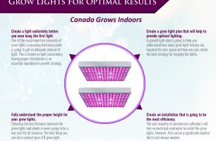 How To Properly Hang Your LED Grow Lights For Optimal Results [INFOGRAPHIC]