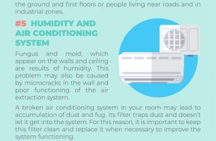 Why is My Room So Dusty? (And How to Grapple with It) [INFOGRAPHIC]